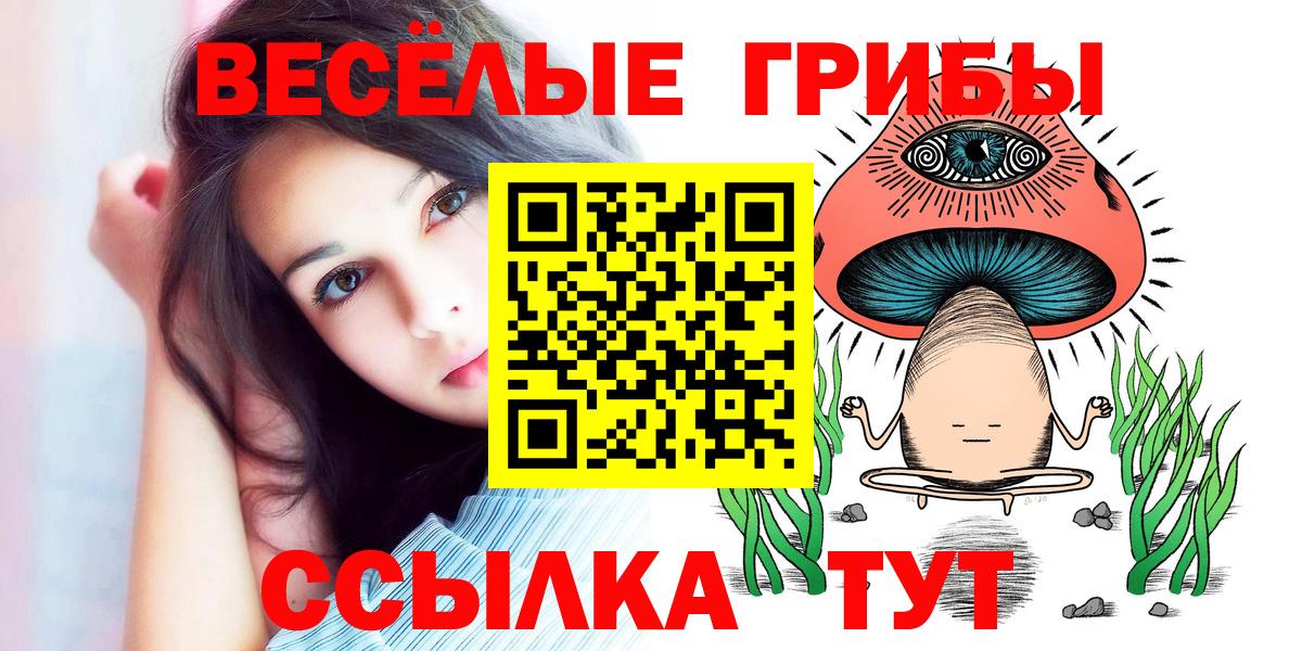 Галлюциногенные грибы Psilocybe  Вход с VPN  Борисоглебск  Псилоцибиновые грибы MAGIC MUSHROOMS 